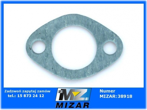 Uszczelka pompy wody MTZ mała 501307049A-29541