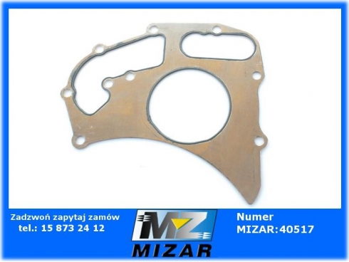 Uszczelka pompy wody 40519 Landini Manitou Merlo 4224960M1-31094