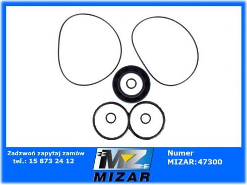 Zestaw uszczelnień siłownika pompy Cyklop F-205 F205 PZ2-KZ-40P-38226