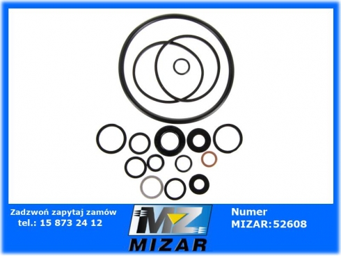 Zestaw naprawczy pompy hydraulicznej wspomagania kierownicy Massey Ferguson MF 1635948M92 -42174