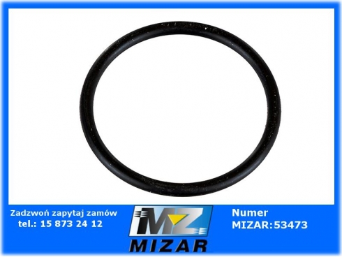 Pierścień oring Massey Ferguson 831702M1-43066