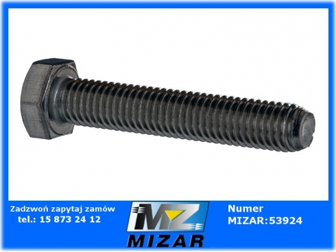 Śruba z łbem 6-kątnym M10x55 VA Amazone-43618