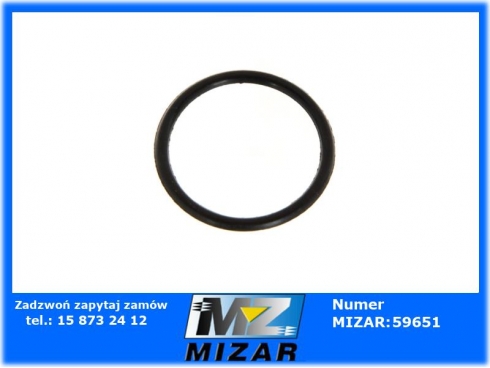 Pierścień stopy wału Massey Ferguson MF3 2415608-46906