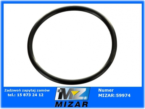 Oring Renault MF-47231