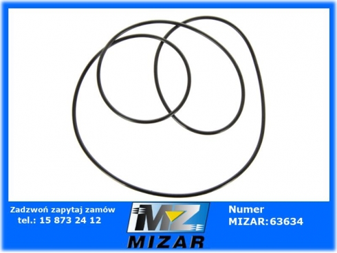 Oring mostu tył Ford Case 83417133-50678