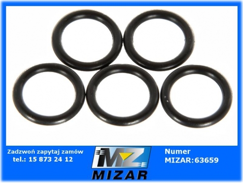 Oring uszczelka 10x2mm myjki Karcher K HD HDS 5szt.-50744