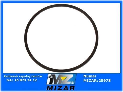 Simering 58x63x1,3 Zettelmeyer ZL602-53048