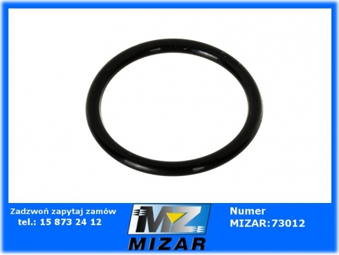 Pierścień oring Oryginał Fendt F281940010020-60425