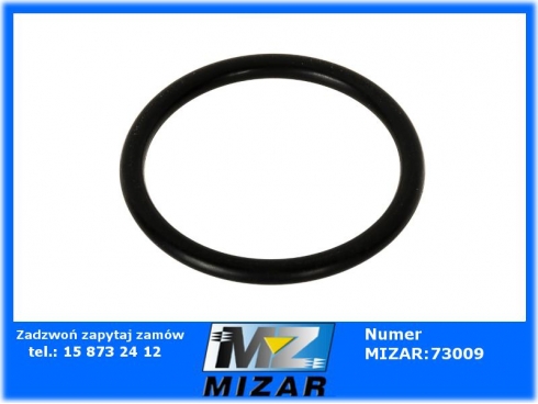 Pierścień oring 24x2,5 Oryginał Fendt X548871466000-60423