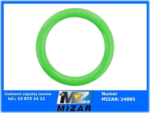 Oring 19x3 pompy P-100 P-100S P-110D P-165 Agroplast-71491