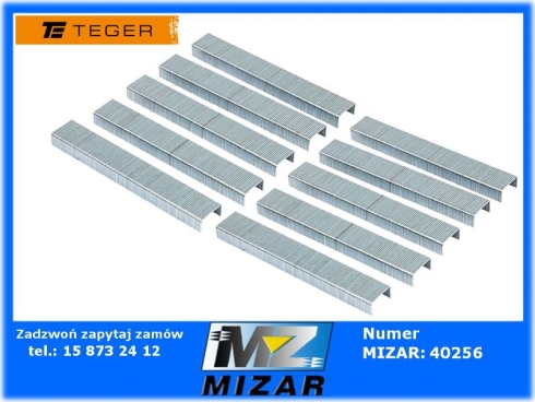 Zszywki typ J 0,7mm - 6mm 1000szt. TEGER PROFESSIONAL-78598